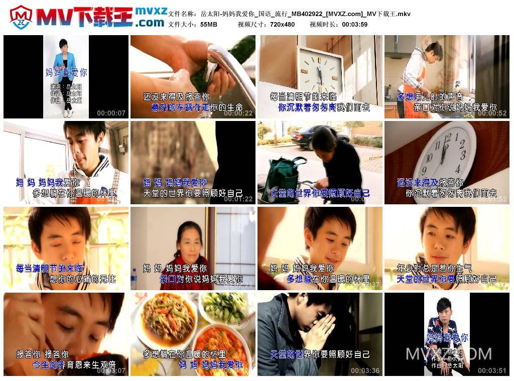 岳太阳-妈妈我爱你_国语_流行_MB402922